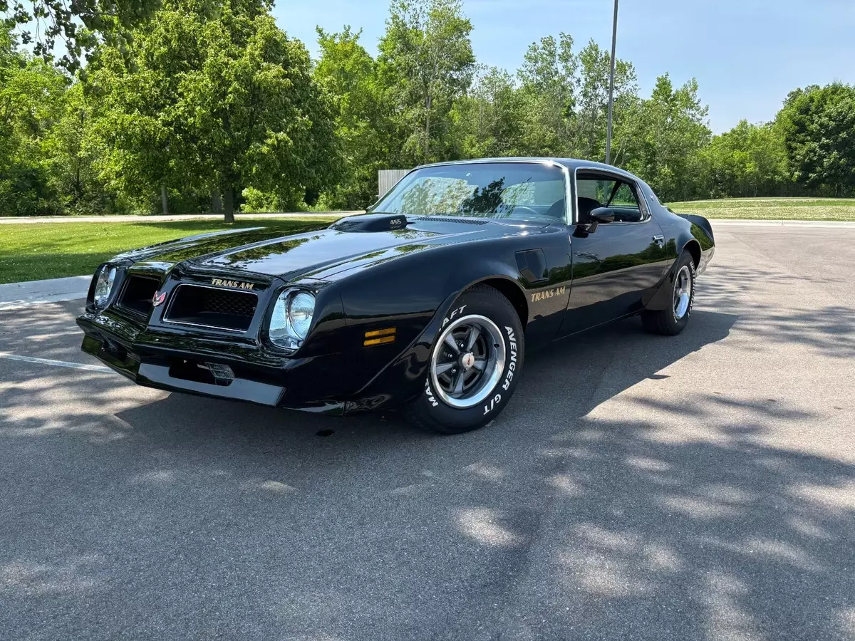 1976 Pontiac Firebird Trans Am 455 4 Speed 1976 Pontiac Trans Am TRANS AM