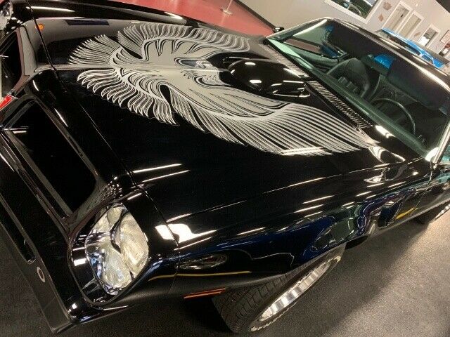 1976 Pontiac Firebird Trans Am - photo 2