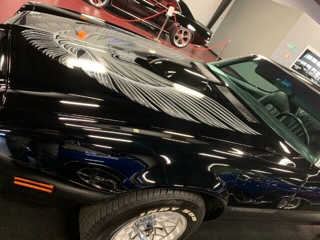 1976 Pontiac Firebird Trans Am - photo 4