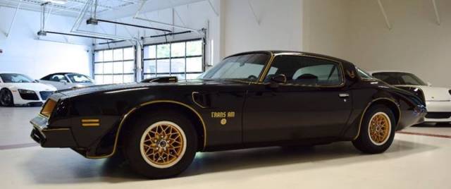 1976 Pontiac Firebird Trans Am 50th Anniversary SE - photo 6