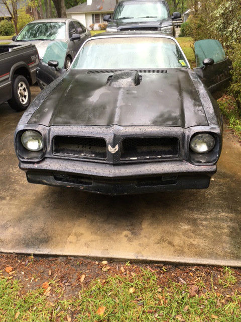 1976 Pontiac Trans Am - photo 2
