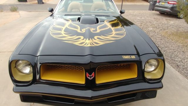 1976 pontiac firebird trans am 6.6l 400 engine restored and garage kept 1976 Pontiac Trans Am Standard