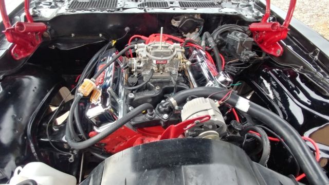 1976 Pontiac Trans Am Standard - photo 11