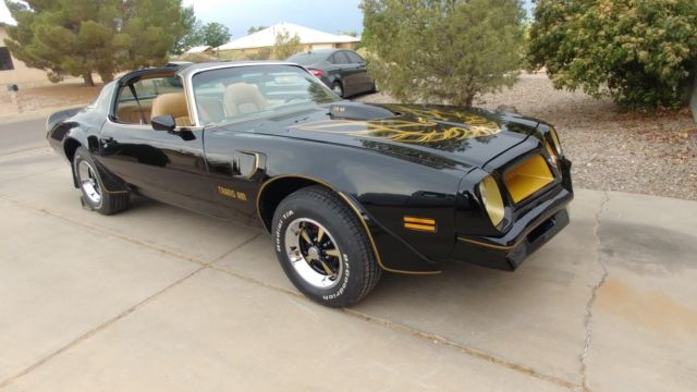 1976 Pontiac Trans Am Standard - photo 2