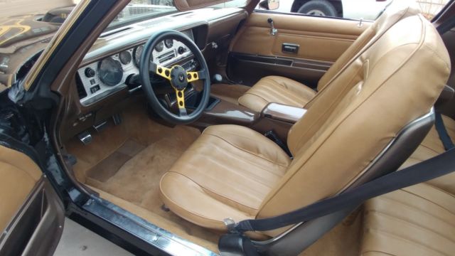 1976 Pontiac Trans Am Standard - photo 6