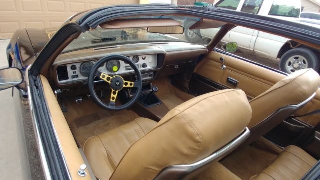 1976 Pontiac Trans Am Standard - photo 8