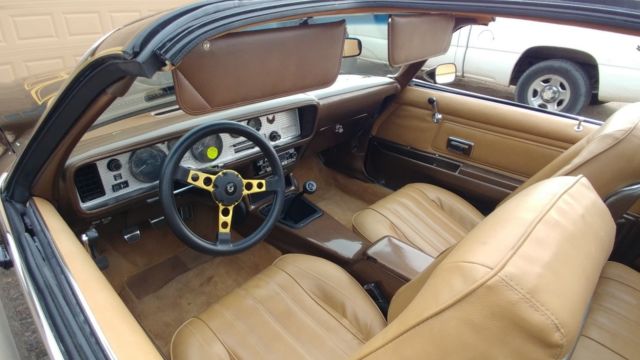 1976 Pontiac Trans Am Standard - photo 9