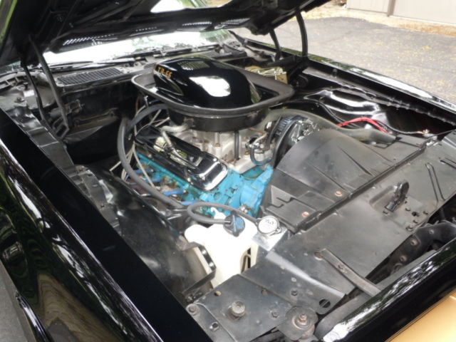 1976 Pontiac Firebird - photo 7