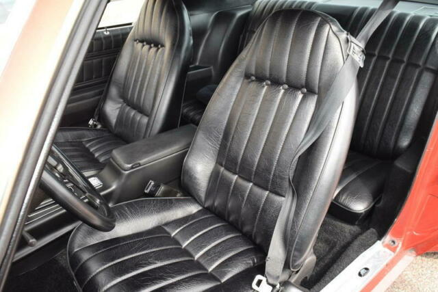 1976 Pontiac Trans Am Firebird Trans Am - photo 11