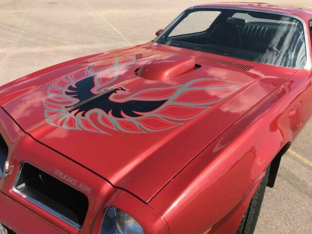 1976 Pontiac Trans Am Firebird Trans Am - photo 3