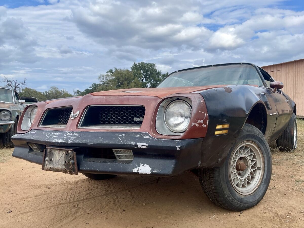 1976 Pontiac Firebird 455 4-Speed Posi - photo 7
