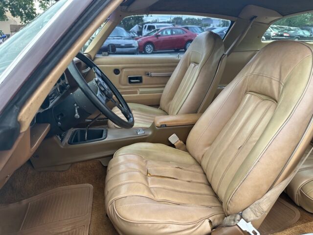 1976 Pontiac Firebird Trans Am - photo 12