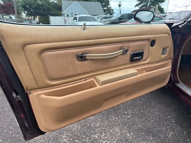 1976 Pontiac Firebird Trans Am - photo 13