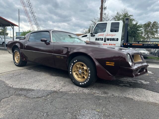 1976 Pontiac Firebird Trans Am - photo 2