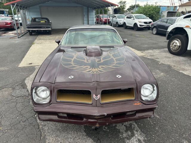 1976 Pontiac Firebird Trans Am - photo 3