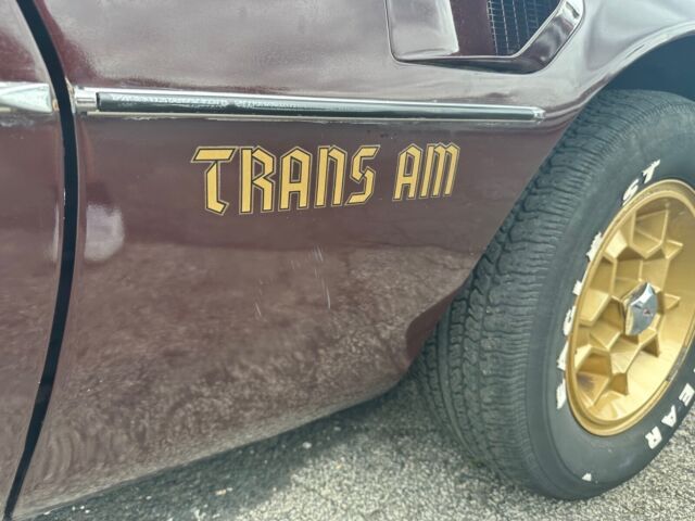 1976 Pontiac Firebird Trans Am - photo 4