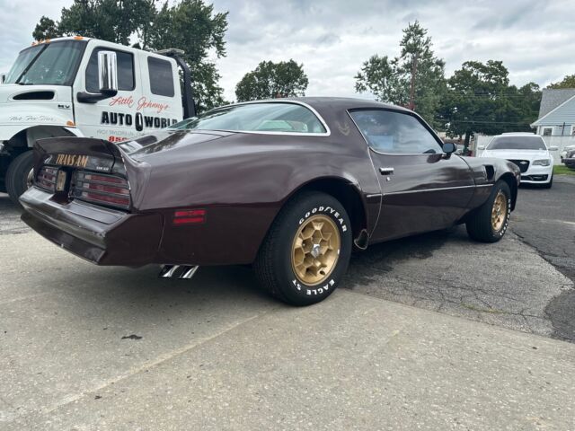 1976 Pontiac Firebird Trans Am - photo 5