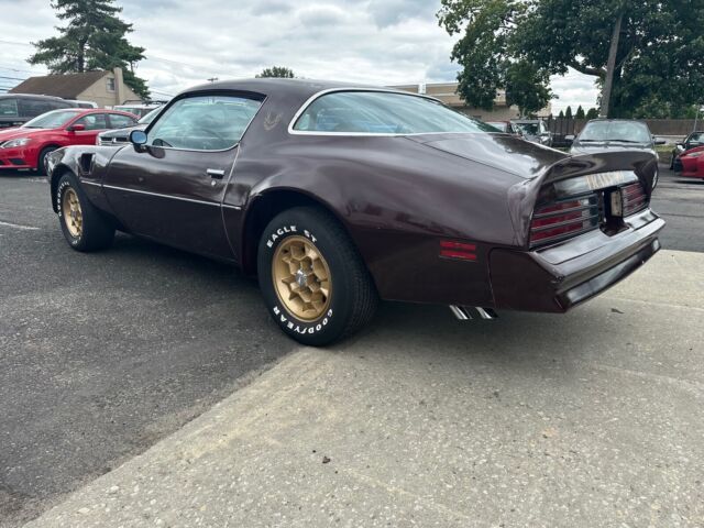 1976 Pontiac Firebird Trans Am - photo 7