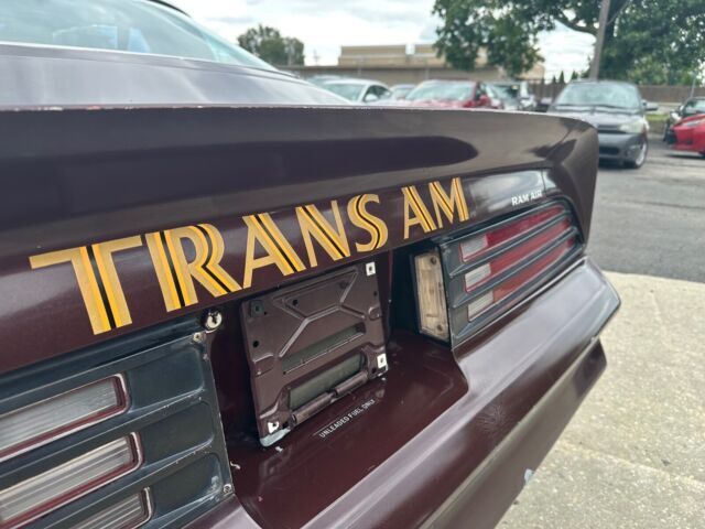 1976 Pontiac Firebird Trans Am - photo 8