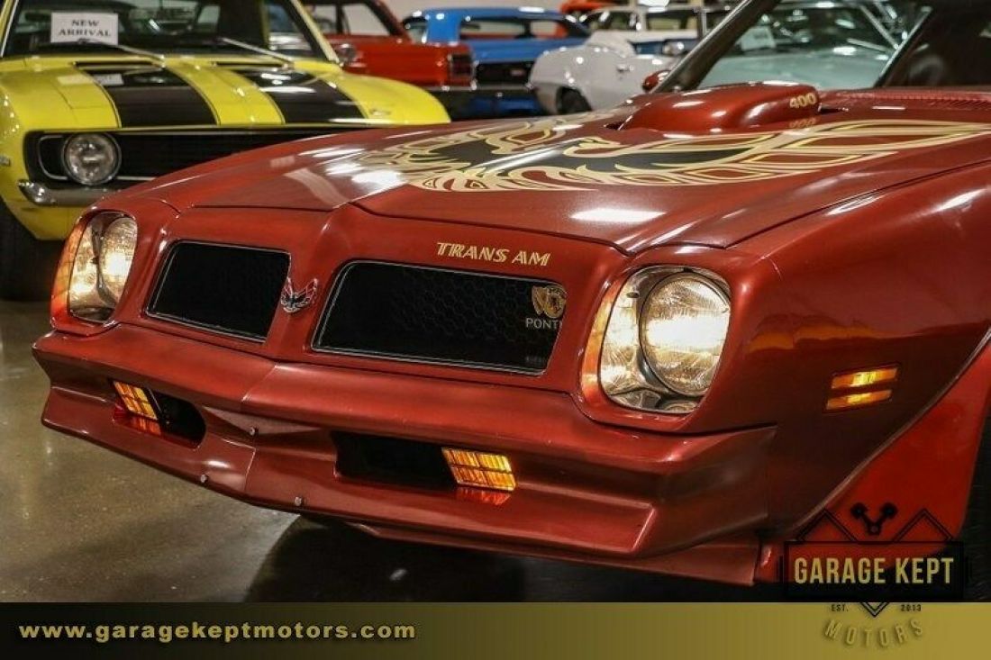 1976 Pontiac Firebird Trans Am - photo 7