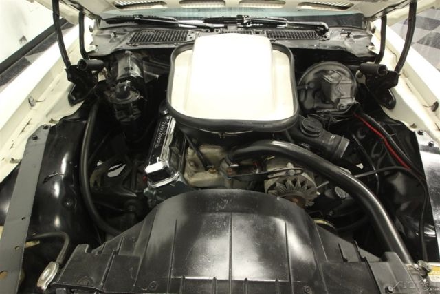 1976 Pontiac Firebird Trans Am - photo 3