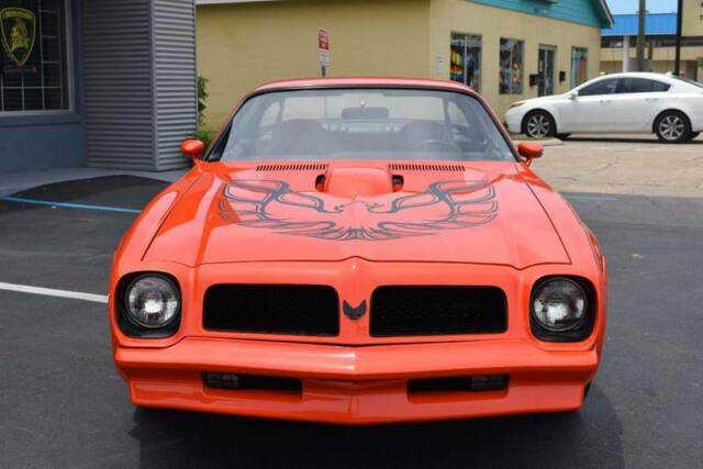 1976 Pontiac Firebird Trans Am HO -- - photo 7