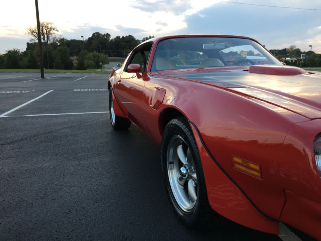 1976 Pontiac Firebird Trans Am - photo 8
