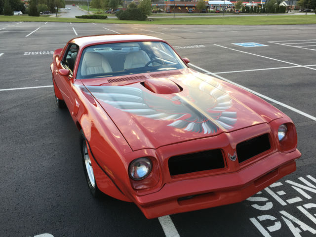 1976 Pontiac Firebird Trans Am - photo 9