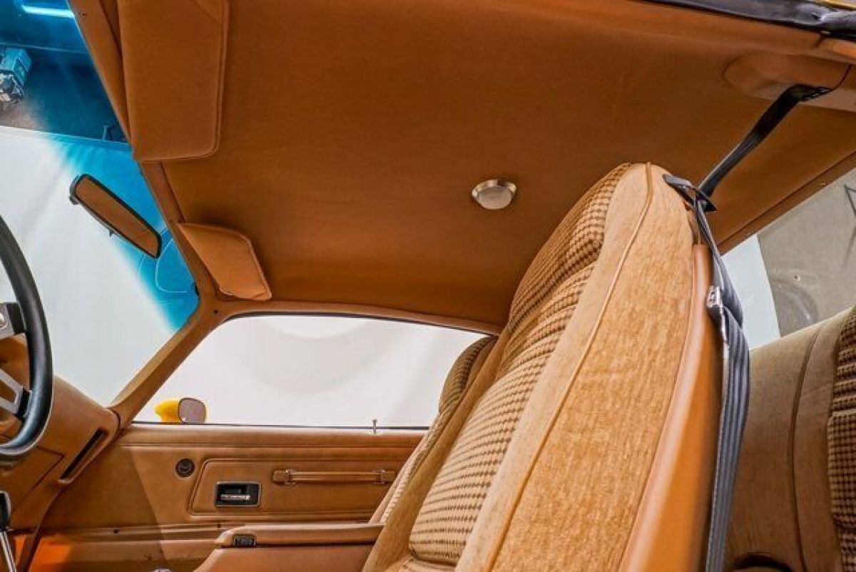 1976 Pontiac Trans Am Trans Am - photo 10