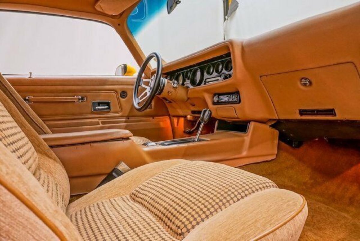 1976 Pontiac Trans Am Trans Am - photo 13