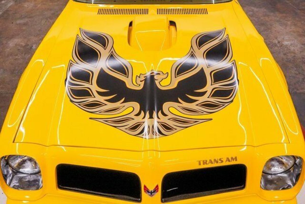 1976 Pontiac Trans Am Trans Am - photo 8