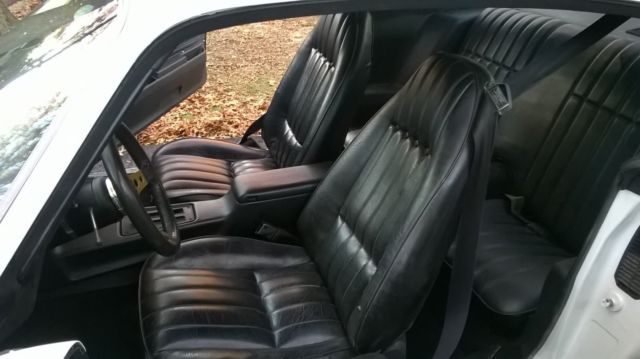 1976 Pontiac Firebird Firebird - photo 10