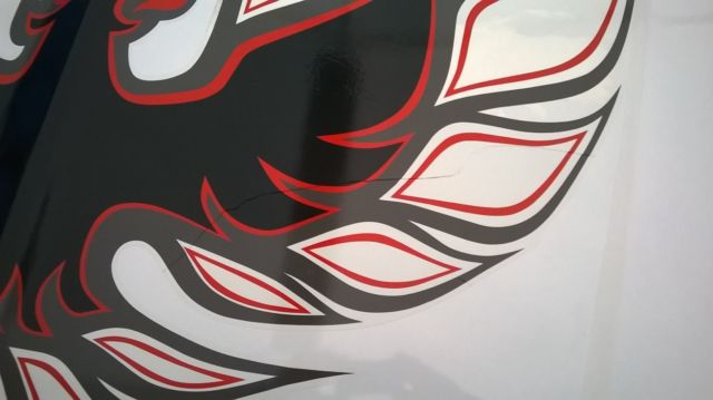 1976 Pontiac Firebird Firebird - photo 7