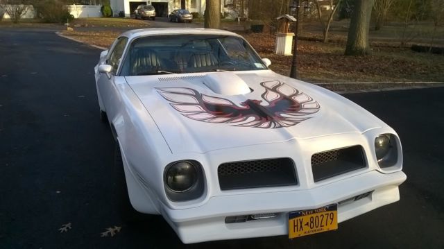 1976 Pontiac Firebird - photo 6
