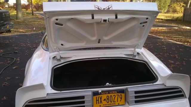 1976 Pontiac Firebird - photo 9