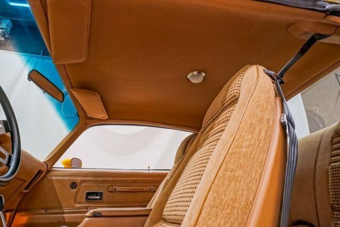 1976 Pontiac Firebird Trans Am - photo 10
