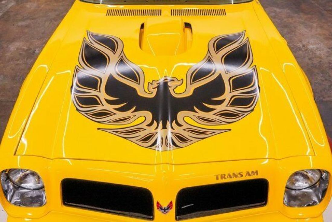 1976 Pontiac Firebird Trans Am - photo 8