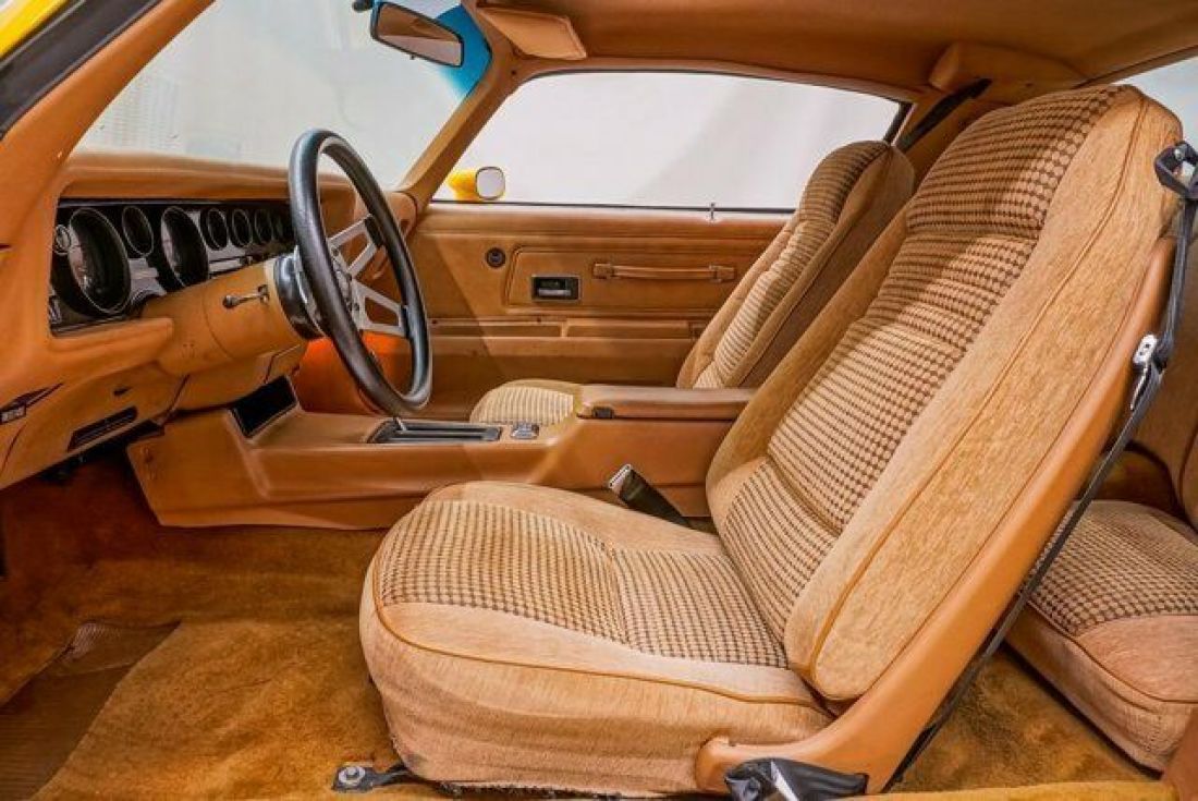 1976 Pontiac Firebird Trans Am - photo 9