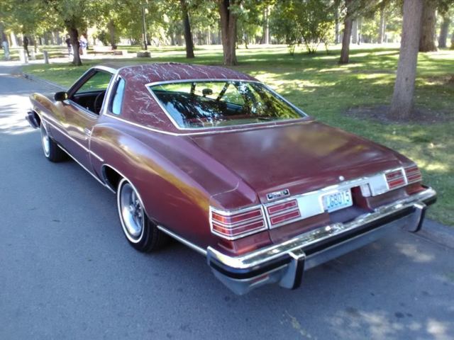 1976 Pontiac Trans Am Grand Lemans - photo 3