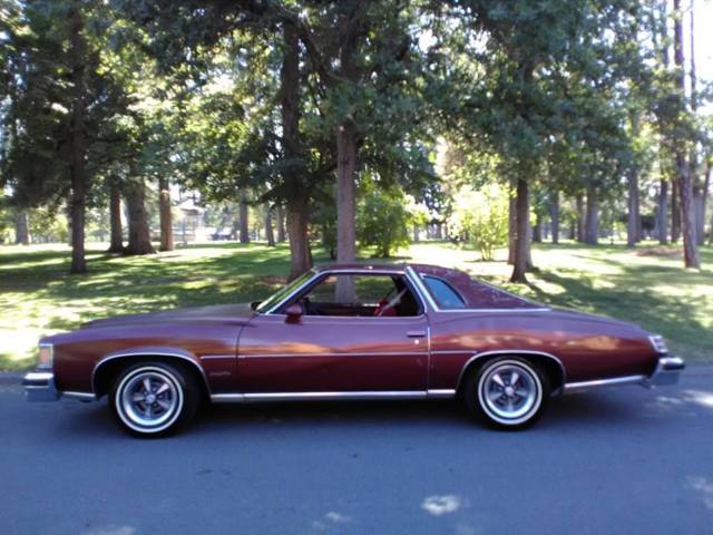 1976 Pontiac Trans Am Grand Lemans - photo 4