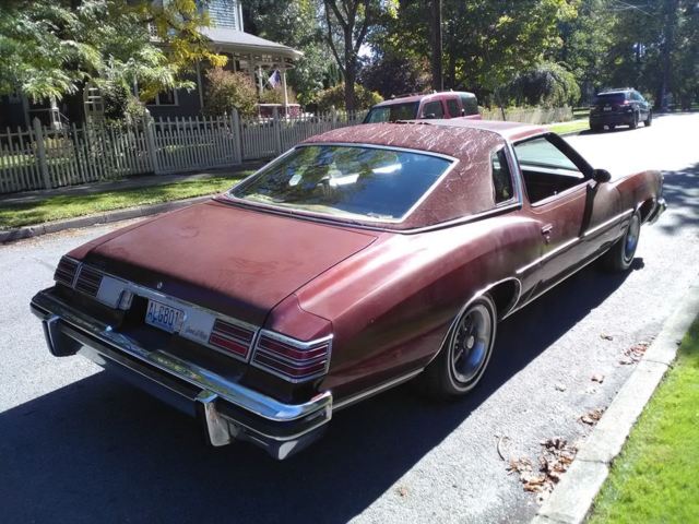 1976 Pontiac Trans Am Grand Lemans - photo 6