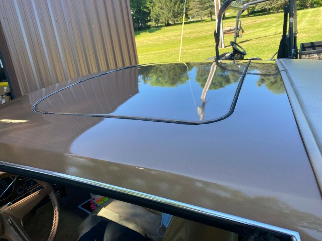 1976 Pontiac Grand Prix - photo 11