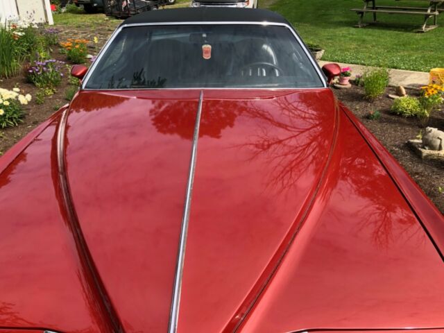 1976 Pontiac Grand Prix SJ - photo 4