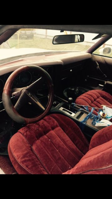 1976 Pontiac Le Mans - photo 4