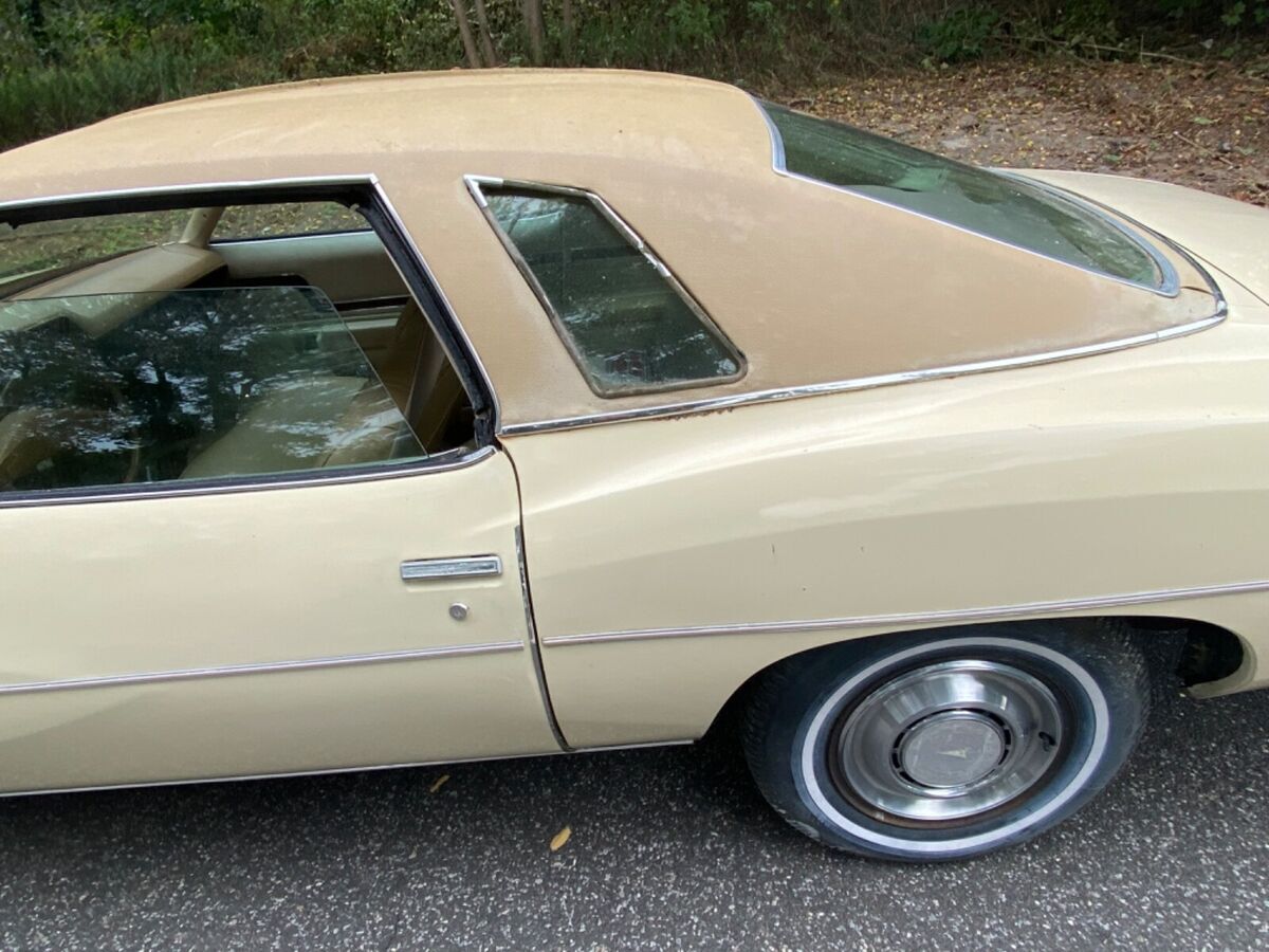 1976 Pontiac Le Mans - photo 6
