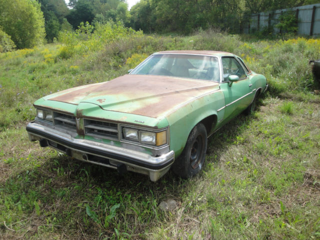 1976 Pontiac Le Mans - photo 3