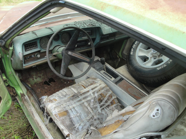 1976 Pontiac Le Mans - photo 5
