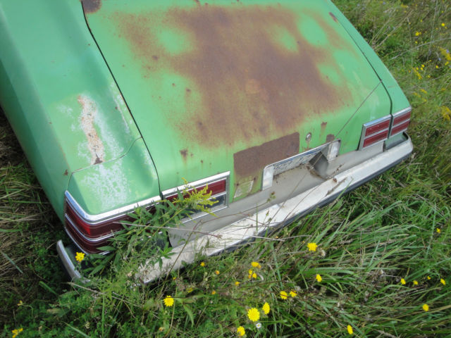 1976 Pontiac Le Mans - photo 6