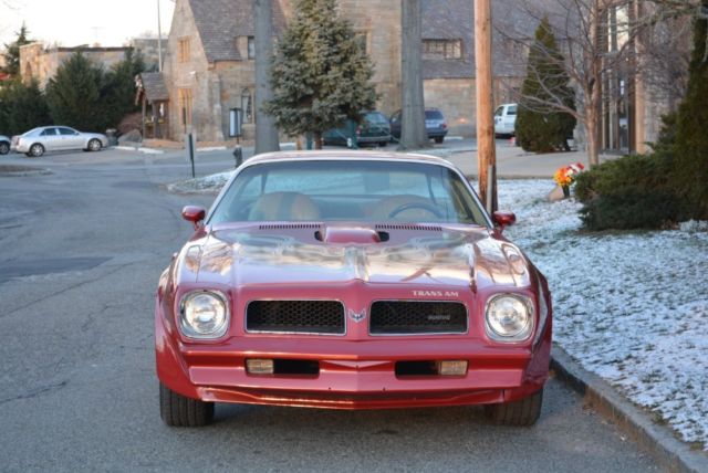 1976 Pontiac Trans Am - photo 3