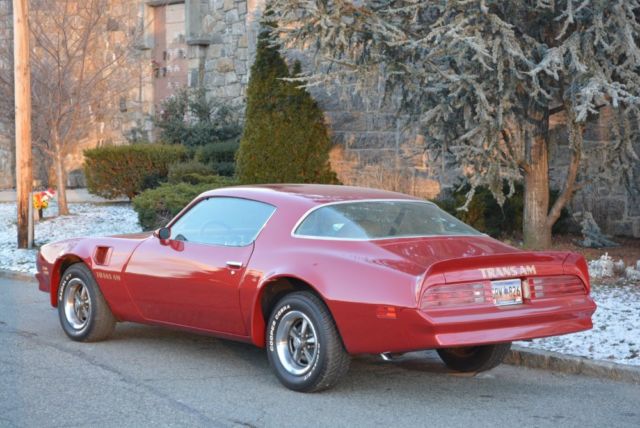 1976 Pontiac Trans Am - photo 6